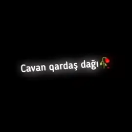 Gəlməz sənə tay qardaşım..🥀💔#tiktok #sehidler🥀😪💔 #followformoree #sehidlerolmez #keşfet 🥀