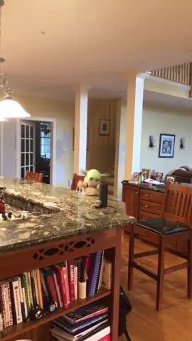 Name the SoNg! #babyyoda #comedy #starwars #fypシ btw she was really scared haha