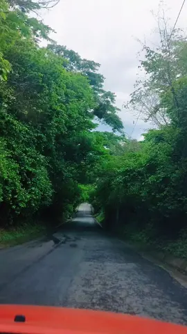 #parami #centroamerica #viral #xbyzca #destacados #foryoupage #elsalvadortiktok #cristo #pulgarcito #elsalvador4k #elsalvador #like