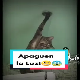 me muero!!🤪😱😱#TalentoTikTok #ArtistaTikTok #LaLuz #Apaguen #Electricista #Electrocutado #PorFavor #Mirones #yostinweb #MeMuero