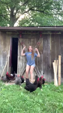 Leonardo y sus gallinas y también TE PRESENTO BENITO!!!!! ❤️ #leonardo #benito #badbunny