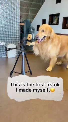 🥰❤️🔥#dog #foryou