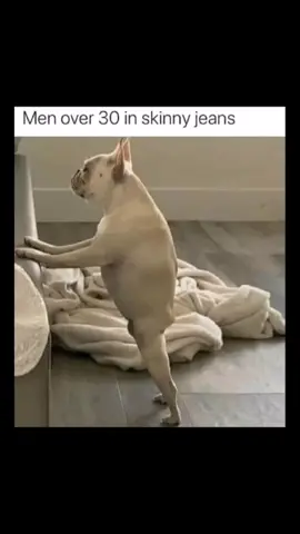 #dog #skinnyjeans