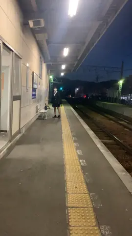 たぶん何かと闘ってる。。#みんなのしまかわ