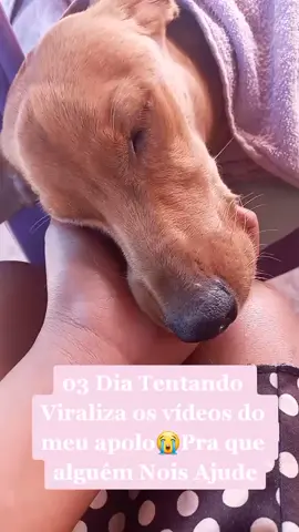 GENTE PORFAVOR 😭😭😭😭 ELE ESTAR MUITO FRACO 😭😭 #AJUDA##comidaporfavor  #cachorrodoente  #veterinaria #Viraliza #clinicaveterinariadvet