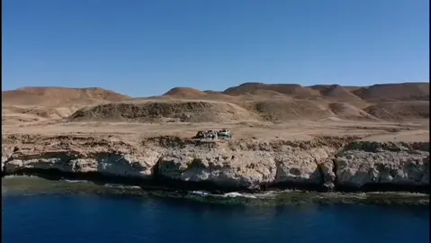 شوفو فين نصيد 😍😍#سمك #صيد_السمك #السعودية #fishing #fishinglife #sportfishing #saltwaterfishing #fishingnz #lures #tuna #gt #lurefishing #top