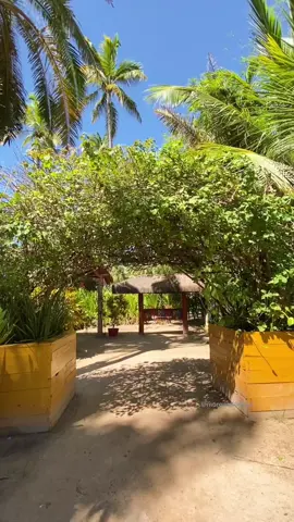 Restaurante Bora Bora e Praia dos Carneiros. Pernambuco | Brasil 🇧🇷    #praiadoscarneiros #pernambuco #praiasdonordeste #praiasdobrasil #beachvibes