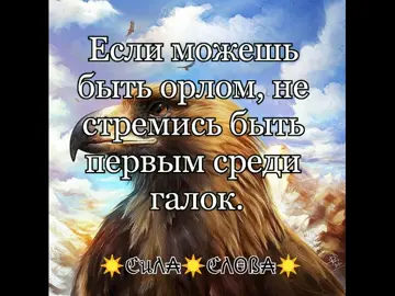 #цитаты#афоризмы#аффирмациядня  #мотивация #полезныесоветы #психология#статусдня #золотыеслова #сильносказано #силаслова