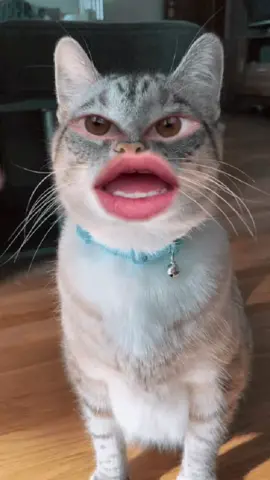 Common foods that are Toxic for Birds #TakisTransformation #SimlishSessions #CompleteMyLook #bird #parrot #parakeet #budgie #cockateil