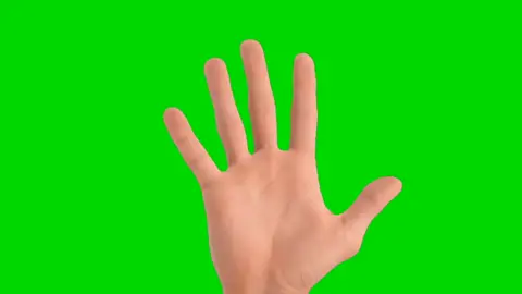 Mentahan Animasi Tangan Menyapa #greenscreen #greenscreenvideo
