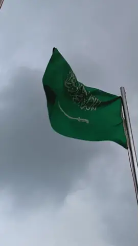 ( أغنيه سعوديه )يلا نبدأ ترند جديد 🇸🇦                       #السعوديه #يابلادي_واصلي #السعوديه_العظمى🇸🇦