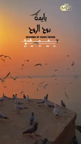 يمه الحب يمه #birds #يمه #الحب #🥰 #jordan #design #trending #2021 #مونتاج #explorer #❤️ #sun #💕 #ساكن #شرياني