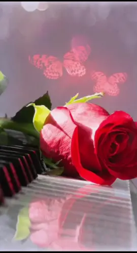 #поздравления #сднемрождениясестра