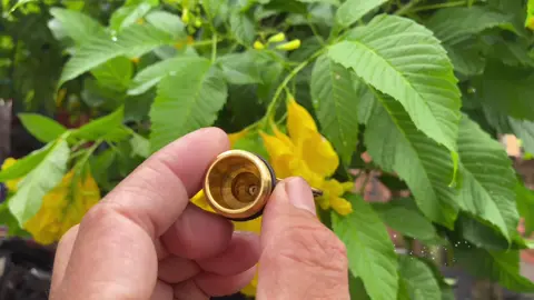 Mẫu béc tưới chuyên dụng cho vườn lan đây ak.phun cực kì đều- chống tắc và bảo hành 1 năm đổi mới