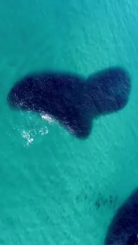 #Love you all guys 💕