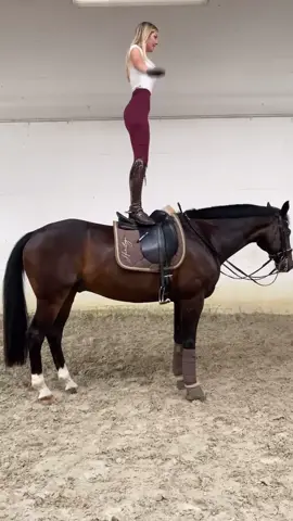 Rip saddle lol, also don’t try this at home 😂 IG:annchen.augustine #fy #foryou #equestrian