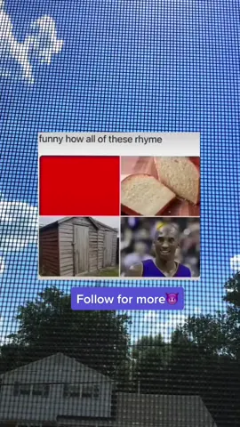 #darkhumour #kobe #fypシ