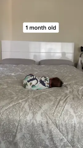 My little dinosaur waking up from his nap🥰