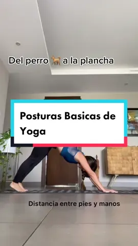 Del perro que mira hacia abajo a plancha #yoga #yogagirl