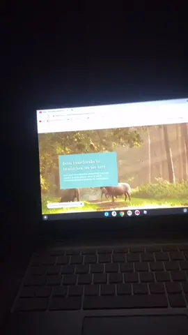 welcome to ‘from me to you’a website for teens, by teensit is open 25/7link in my instagram bio #SimlishSessions #teens #advice