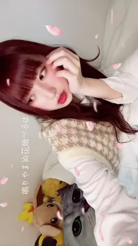 おそまーつさーん！！！誰推し？ #おそ松さん #a応p #はなまるぴっぴはよいこだけ #アニソン #03 #アイドル