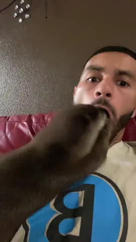 OMG Oliver Watch Out! 🦦🤣             #crazy #exoticanimals #pet #otter #insane #adorableanimals