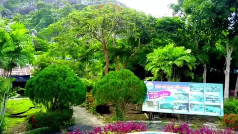 Khám phá đồi Tức Dụp, An Giang cùng Việt Úc Tourist. #dulichtaigia #tiktoktravel #vietuctourist #dulichangiang