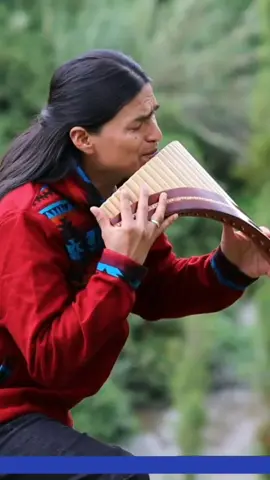 THE LONELY SHEPHERD | EINSANER HIRTE | PASTOR SOLITARIO Relaxing Music With Panflute By Wuauquikuna #amazinginstrument #pourtoi #flute #fypシ