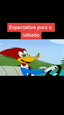 #memes #viral #humor #foryou #fypシ #tiktoker #fy #foryoupage #picapau #sabado