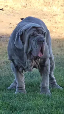 #ceoofwrinkles