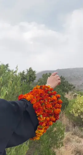 يُـقول الأميـر 