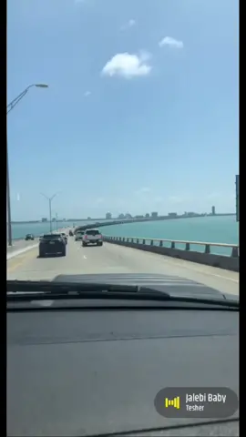 Puro #956 🌴🌴🌴 #rgv #rgv956 #happy4thofjuly #tacuachecuh #southpadreisland 🏝😎🥵