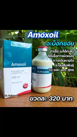 ยารักษาวัว#ยาวัว #ยาสัตว์ #ยาสัตว์พร้อมส่ง ❤️❤️🐄