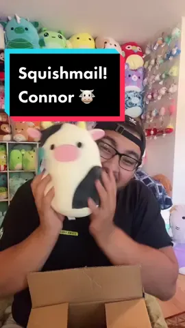 AHHH EIGHT INCH CONNOR 🐮🥺 #squishmail #squishmallows #squishmallow #connorsquishmallow #squishtok #fyp #squishytok