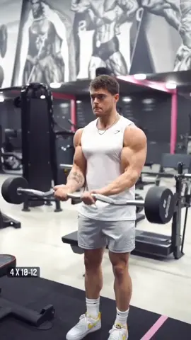 High volume arm workout ✅      #armworkout #armworkouttips #bodybuldinglover #gymshark #gymmotivation #fitnesslife #GymTok #fitnessmotivation
