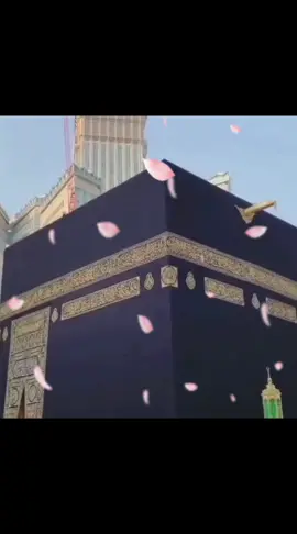 بے شک اللہ ہر چیز پر قادر ہے 🤲#آمین_لکھ_کر_آگے_شیئر_کر_دیں #viral #foryou #viral