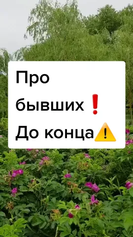Про бывших!до конца!#книги #саморазвитие #женщины #мужчины#бывшие #отношения #психология #длядуши #любовь #чтение #полезное #совет #мудрость