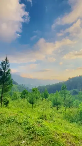Apabila Covid-19 tiba-tiba hilang, hal apa yang ingin sekali kamu lakukan? 🥺 #fyp #tiktoktravel #nature