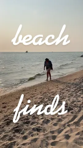 Lake Michigan has some of the best goodies 🌞 #beachhunting #collection #beachcomber