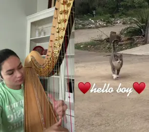 #duet with @june_banoon had to add some ✨harp✨
