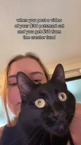 shoutout to my husband for the investment opportunity ! #cats #blackcat #catslovers #florida
