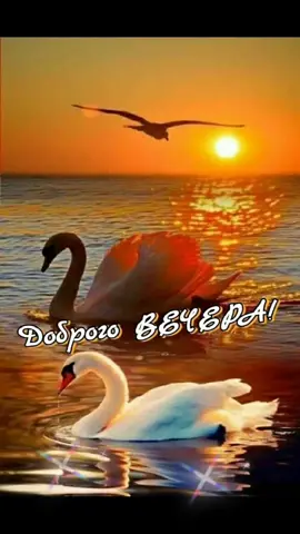 добрый вечер#