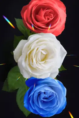 Без повода , но от души ❤️❤️