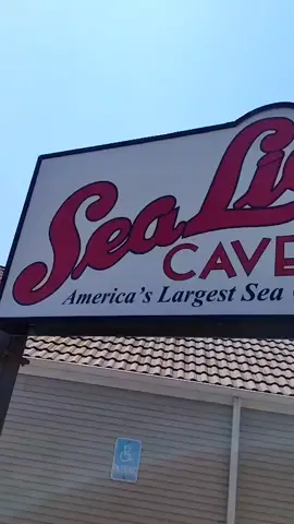 Sea lion caves near Florence, Oregon #oregon #sealions #ocean #travel #adventure