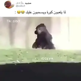 #ميسي #فيفا #اليورو #مقاطع_ميمز #ميمز #رياكشن #foryoup #fyp #ضحك #اكسبلور #فولو #ثروباك #explore #حركة_الاكسبلور #Jeddah