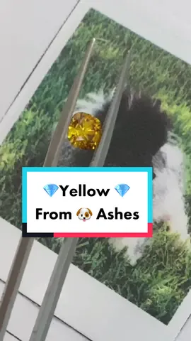 Pups ashes turned into a yellow diamond 💎 #eterneva #fypシ #yellow #Summer