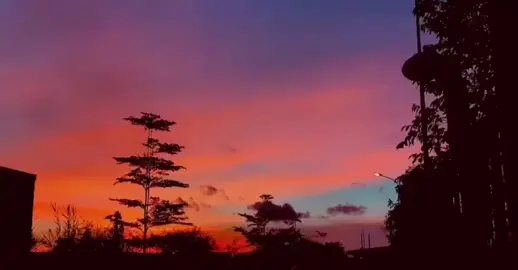 Em giờ sao? Hạnh phúc ấy trao ai em nhận lại được không ? Cầu mong em sống yên vui bên tình mới...#xuhuong #KhungHinhCamXuc 🌻