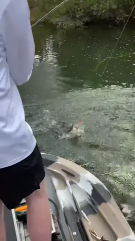 The full video coming #pikefishing #bassfishing #fishing #riverfishing #fisher #fishtok #fishinglure #fishon #fisherman #fishingtiktoks #fishin #bass