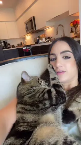 He really said “shush” #fyp #foryou #foryoupage #catsoftiktok #trending #duets #viral