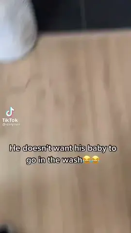 #cutedogsonly .